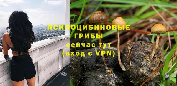 дмт Абаза