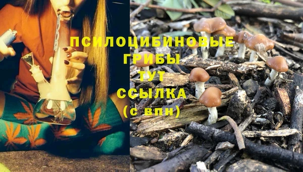 прущие крисы Абдулино
