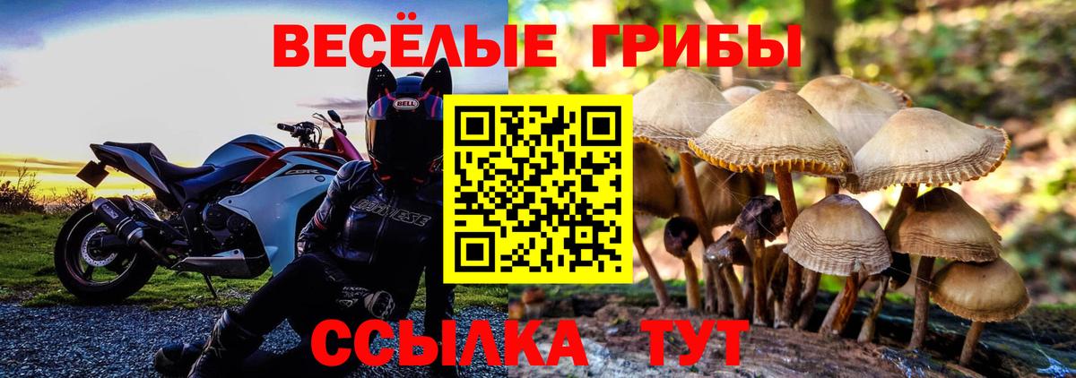 Галлюциногенные грибы ЛСД Алатырь