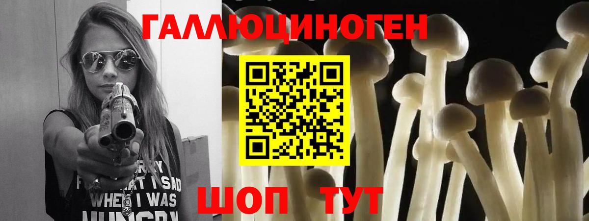 Галлюциногенные грибы мухоморы  Вход с VPN  Галлюциногенные грибы MAGIC MUSHROOMS  Алатырь 